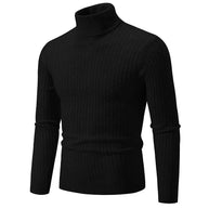 WW | Lässiger Rollkragenpullover