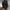 WW Attraktives A-Linien-Kleid | Damen Herbst Strickkleid mit Rollkragen