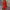 WW | Stilvolles Sommerkleid