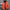 WW - Herren-Winterjacke - Warme, schlanke Daunenjacke mit Kapuze