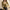 WW | Weicher, Warmer Strickpullover Mit Quadratischem Kragen