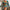 WW | Bikini mit Blumenmuster