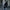 Winter Lederjacke mit Pelz