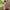 WW | Elegantes Maxikleid mit Tierdruck