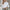 WW | Stilvolle Bluse für Damen