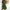 WW | Mini Sommerkleid Mit Leopardenmuster
