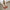 WW | Zeitlose Damen-Pumps - 2024 Fashion