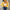 WW Damen Blumen-Cardigan | Laterneärmel, Sexy & Süß, Gestrickter Crop-Pullover