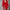 WW | Gerafftes Minikleid mit Schmetterlingsärmeln