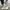 WW | Women's Compensated Platform Sneakers