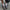 WW | Gotta Stop Pretending flache Schuhe