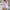WW | Stilvolle Bluse für Damen