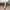 WW | Zeitlose Damen-Pumps - 2024 Fashion