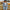 WW Die Vintage Jeansjacke unter Ihrem Mantel