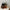 WW | Tote Tasche Aus Wildleder