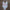 WW in Roségold TEAM Bride