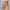 WW | Stilvolle High-Waist-Hose mit Falten