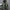 WW - Herren-Winterjacke - Warme, schlanke Daunenjacke mit Kapuze