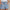 WW | Baumwoll Sommer Shorts