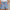 Leinen-Shorts | 1+1 Gratis