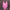 WW in Roségold TEAM Bride