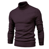 WW | Herren Rollkragenpullover aus hochwertigem Material
