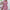 Melisini™ - Kleid mit Blumenmuster und O-Ausschnitt