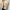 WW | Handgemachte Leder Schultertasche