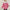WW Die Vintage Jeansjacke unter Ihrem Mantel