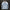 WW | Winter Herren Denim Jacke