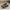 WW | Zeitlose Damen-Pumps - 2024 Fashion