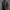 WW | Herren Winterjacke