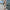 WW | Kurzarm-Overall | Bequemer und trendiger Look