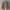 WW | Lässige Cordjacke Für Herren