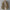 WW | Lässige Cordjacke Für Herren