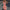 WW | Damen Geometrischer Druck Partykleid