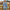 WW Die Vintage Jeansjacke unter Ihrem Mantel