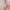 WW - Elegantes Bodycon-Kleid mit Rüschen