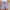 Leinen-Shorts | 1+1 Gratis