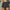 WW | Denim Skort Denim Minirock