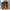 WW - 3D-gedruckte Fleecejacke mit Kapuze