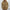 WW | Herren Kapuzenjacke