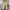 WW | Eleganter Blazer Für Frauen