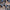 WW | Bequeme Flache Schuhe mit Blumenduschen