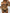 WW | 3 Stück Bikini Tropischer Druck Badebekleidung Halter Schnürseite Badebekleidung Frauen Badeanzug Weiblich Schwimmen Sommer Strandbekleidung
