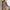 WW | Bikini mit Blumenmuster