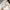WW | Ocean Of Emotion Mules Schuhe