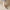 WW | Tears To Diamond Slingback Schuhe