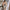 WW | Steh einfach da und starre Minikleid