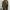 WW | Oversized Sweatshirt Für Frauen